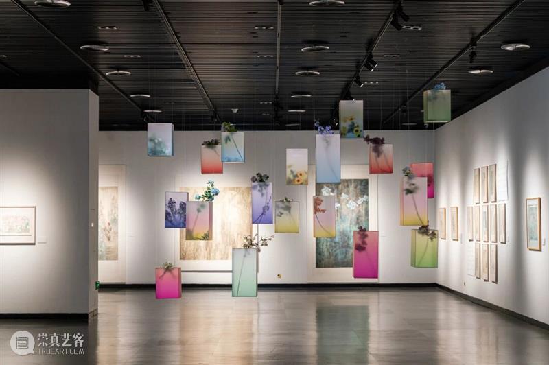YAM 展 讯丨花开?盐城——当代女性艺术家邀请展 崇真艺客