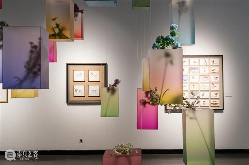 YAM 展 讯丨花开?盐城——当代女性艺术家邀请展 崇真艺客