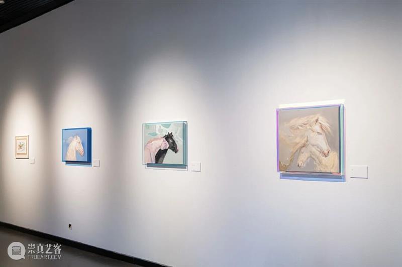 YAM 展 讯丨花开?盐城——当代女性艺术家邀请展 崇真艺客