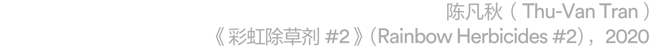 展览｜本馆新展预告：群展“取火” & “隔海之歌”  阿那亚艺术中心 崇真艺客