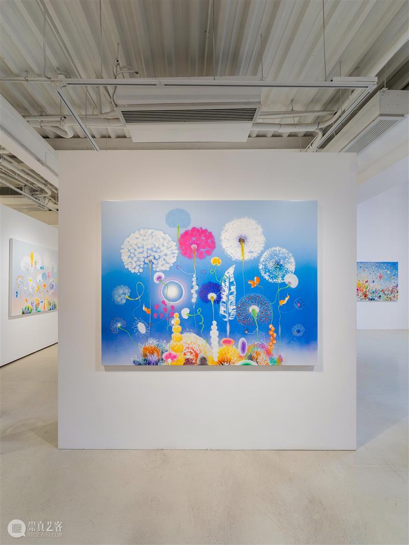 蓝骑士上海｜展览现场抢先看 西瑞·菲兹：风起时 崇真艺客