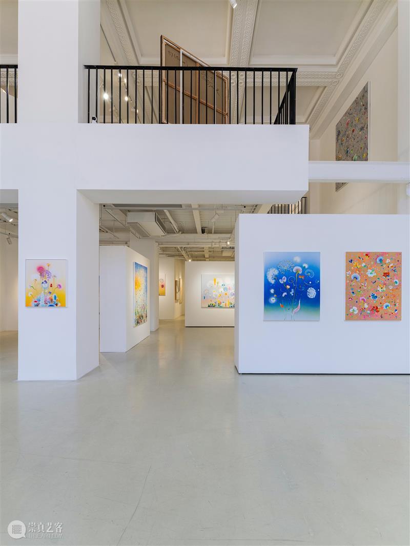 蓝骑士上海｜展览现场抢先看 西瑞·菲兹：风起时 崇真艺客