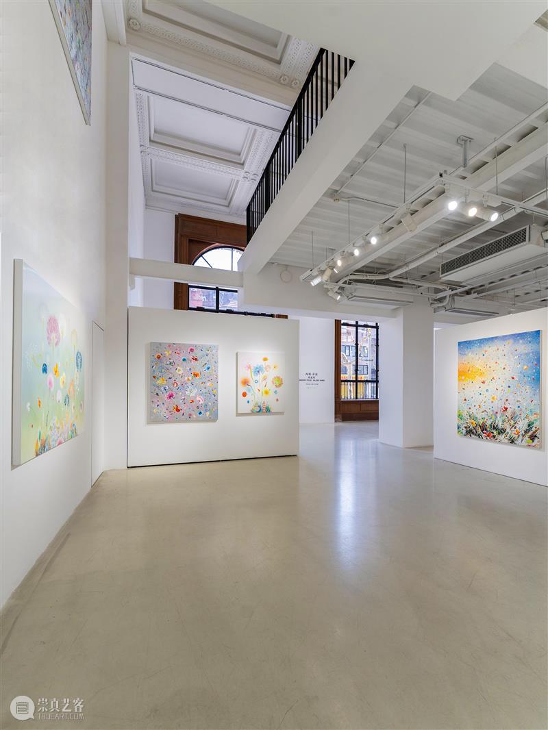蓝骑士上海｜展览现场抢先看 西瑞·菲兹：风起时 崇真艺客
