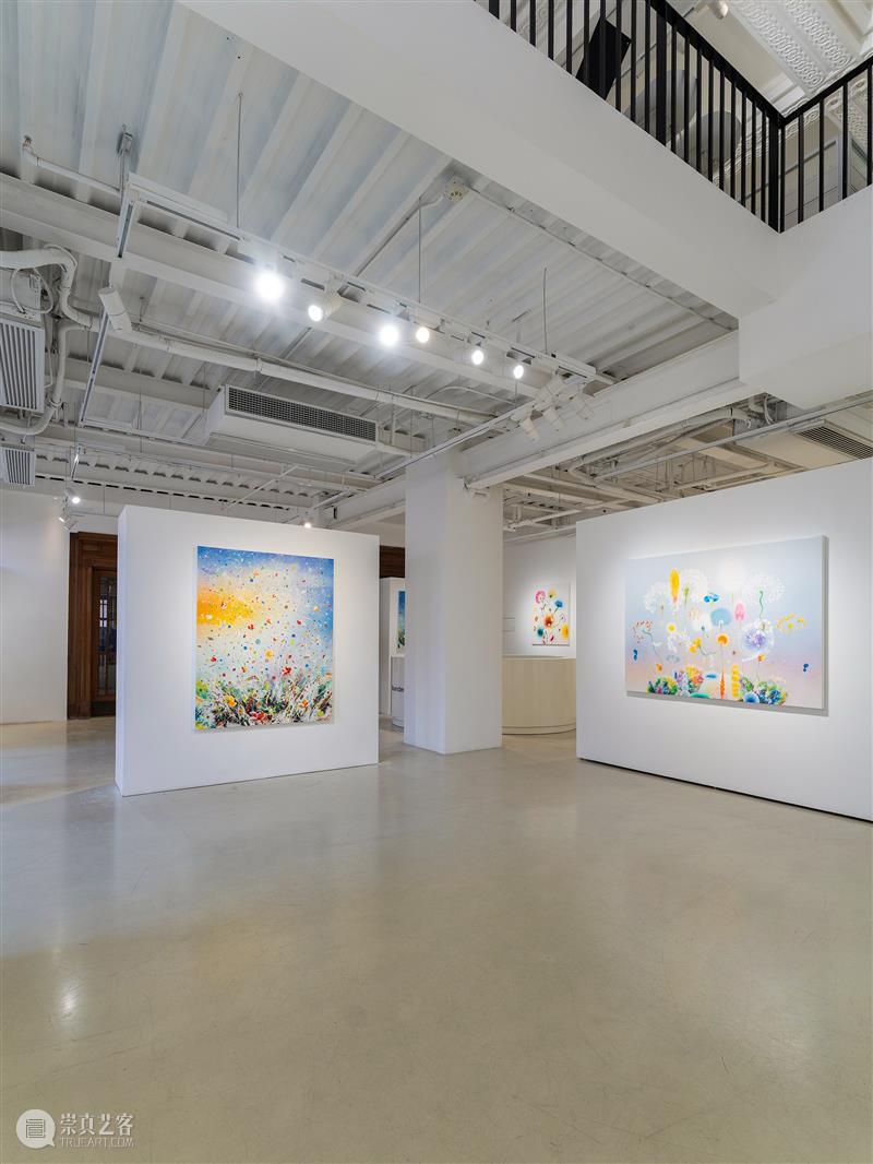 蓝骑士上海｜展览现场抢先看 西瑞·菲兹：风起时 崇真艺客