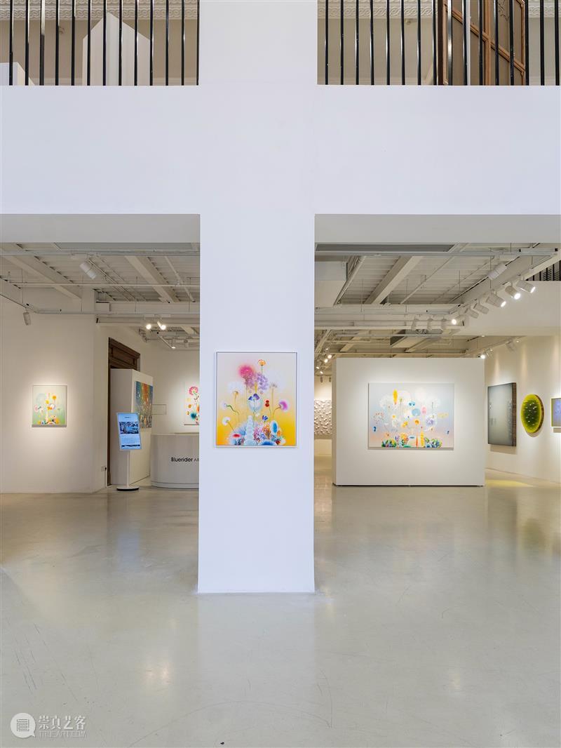 蓝骑士上海｜展览现场抢先看 西瑞·菲兹：风起时 崇真艺客