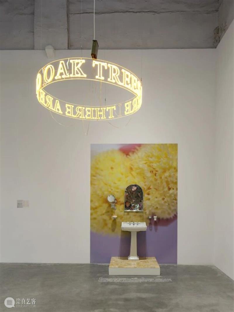 香格纳M50 | 当午夜遇见正午，或我们如何想象远处的风景 | 策展人写作 崇真艺客