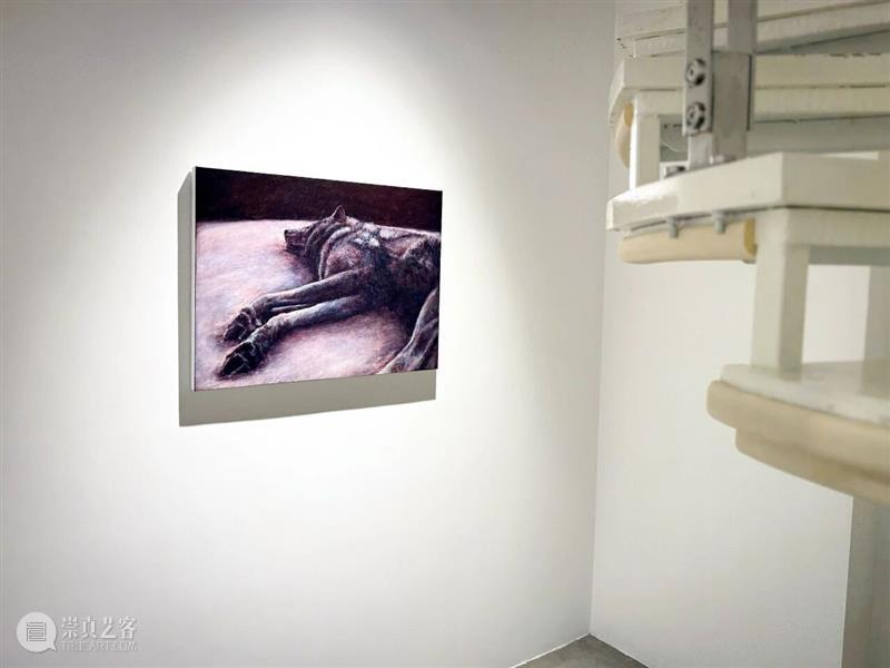 开幕回顾 | 陈景朗个人展览「听，雨中的低语嗡鸣」 崇真艺客