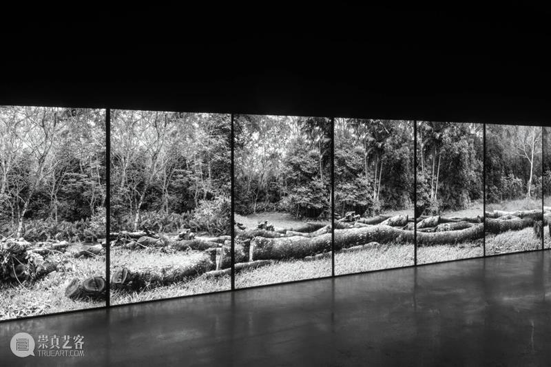 艺博会 | 香格纳参展So~深圳！2026 | 展位S18 崇真艺客