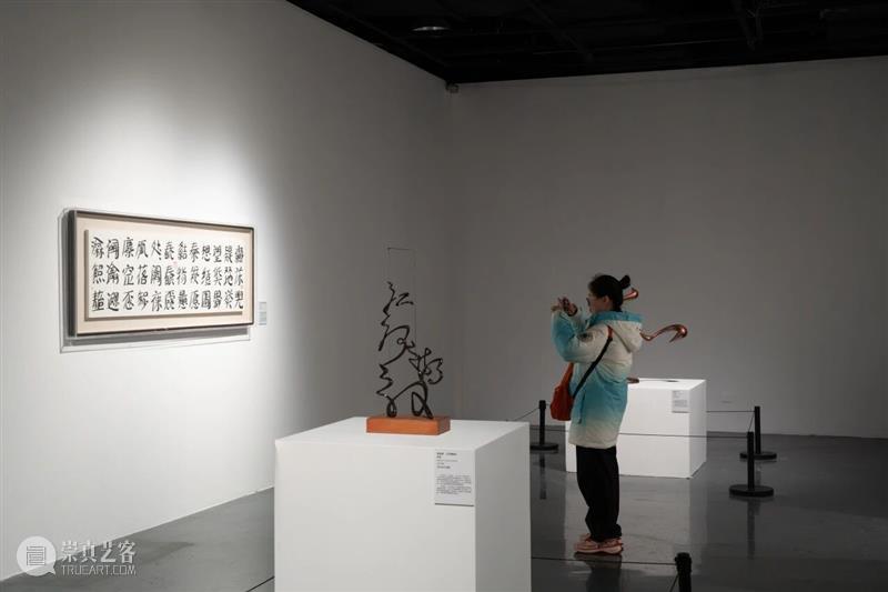 展览现场｜“悠远的诗意”邀您赴一场春日“辞”与“图”的约会 崇真艺客