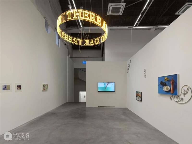 香格纳M50 | 月光不签证:从“全球化视野”转向“群岛式关系” | 策展人写作 崇真艺客