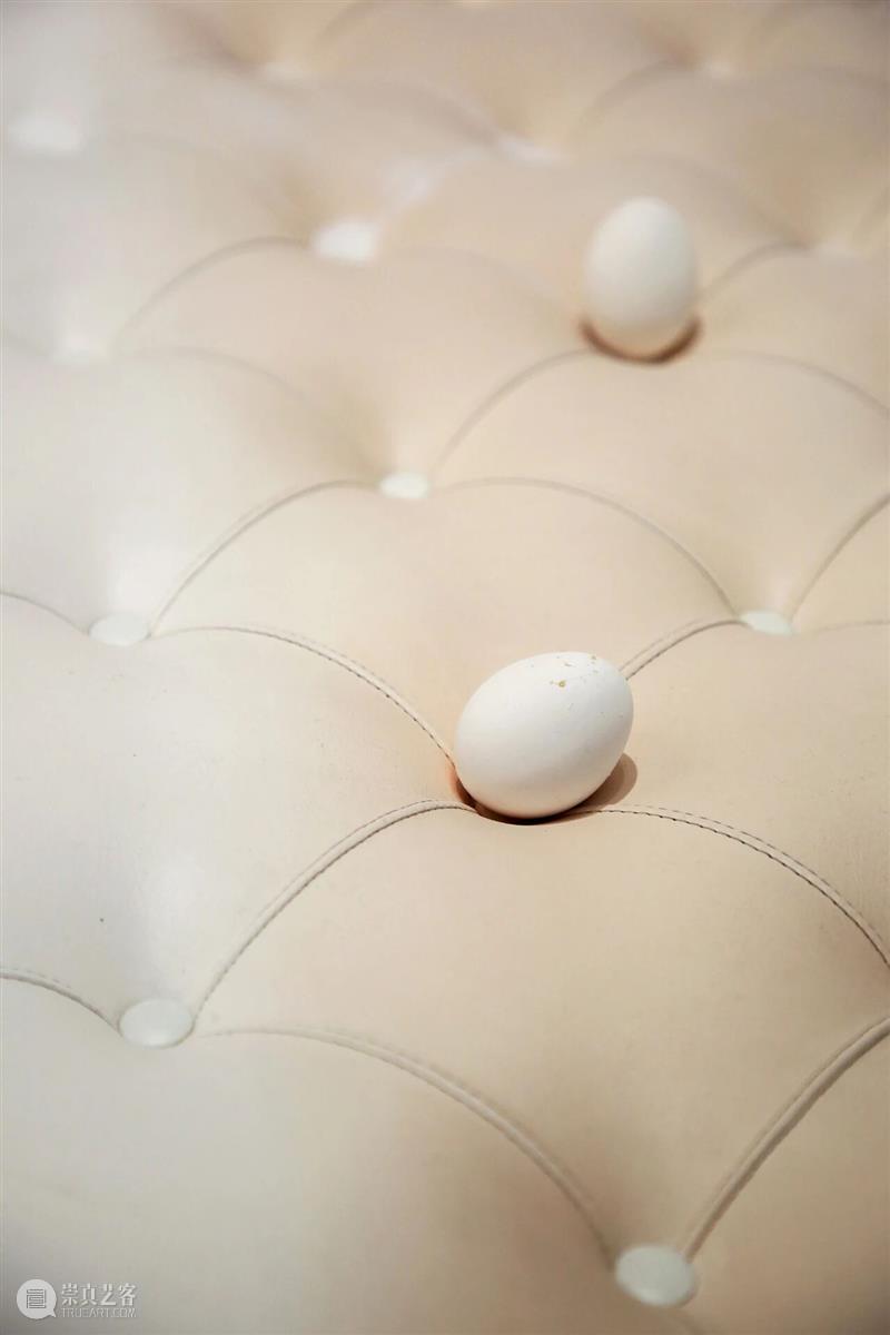香格纳M50 | 月光不签证:从“全球化视野”转向“群岛式关系” | 策展人写作 崇真艺客