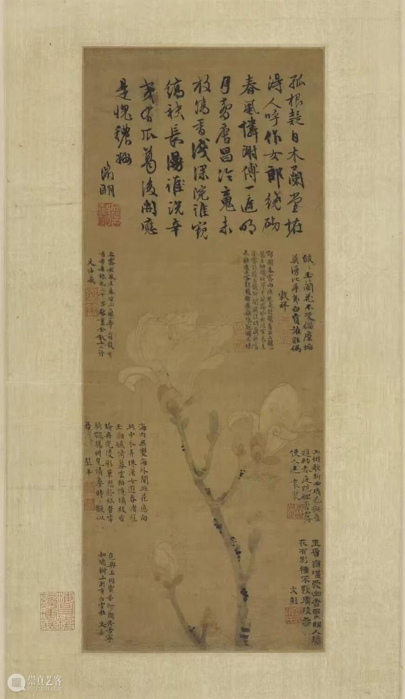 展览 | 花开时节,你可曾见过文徵明笔下那一枝五百年前的玉兰? 崇真艺客