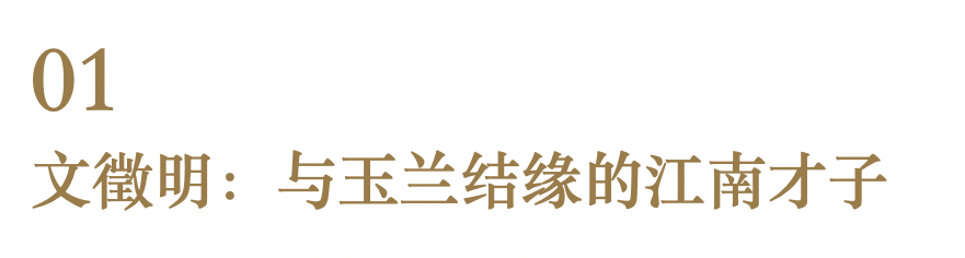 展览 | 花开时节,你可曾见过文徵明笔下那一枝五百年前的玉兰? 崇真艺客