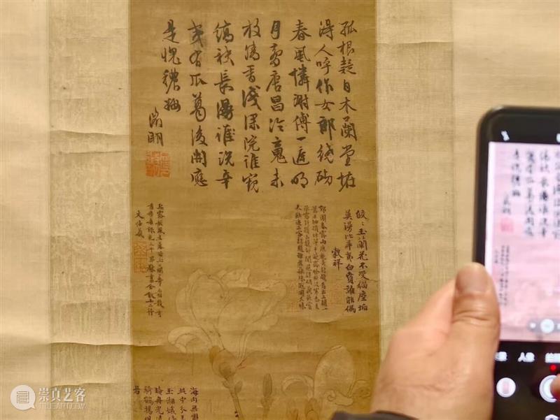 展览 | 花开时节,你可曾见过文徵明笔下那一枝五百年前的玉兰? 崇真艺客