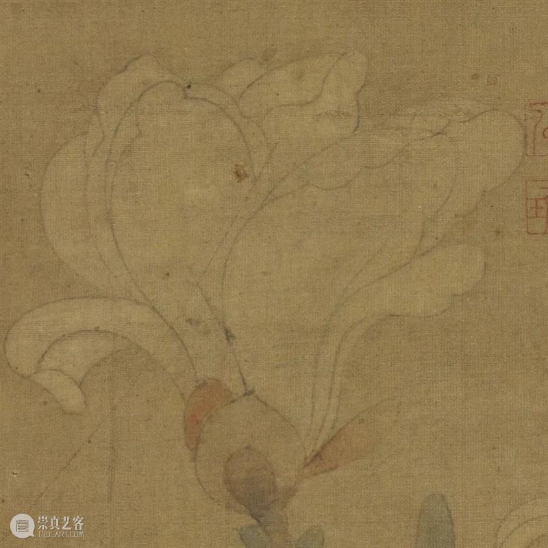 展览 | 花开时节,你可曾见过文徵明笔下那一枝五百年前的玉兰? 崇真艺客