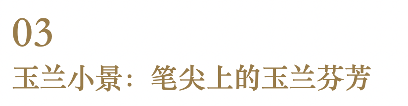 展览 | 花开时节,你可曾见过文徵明笔下那一枝五百年前的玉兰? 崇真艺客
