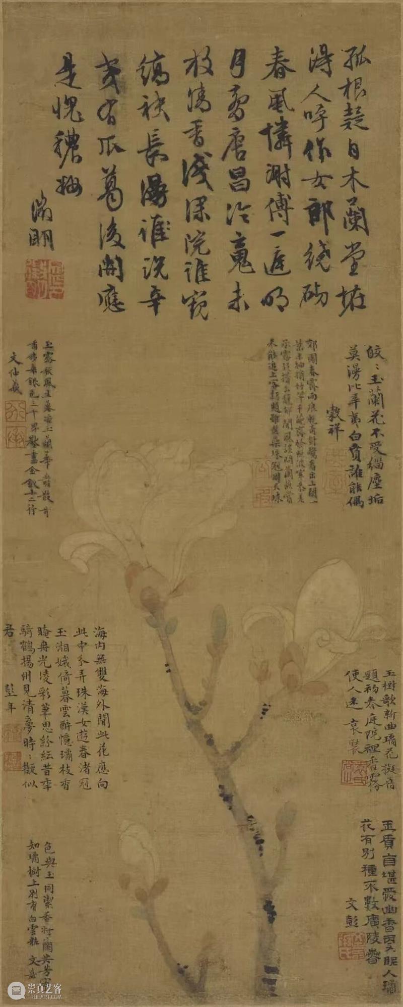 展览 | 花开时节,你可曾见过文徵明笔下那一枝五百年前的玉兰? 崇真艺客