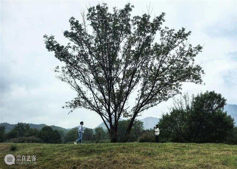 泥美术馆Country Walk指南2026 崇真艺客