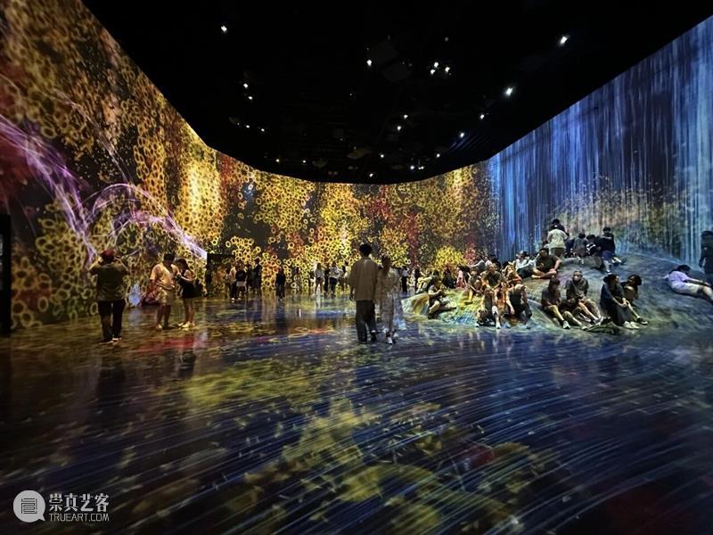 广州影像三年展2025 · 学术专论 | 何伊宁 —— 感观的地层：铸造算法时代的“感-观联盟”  （I）   崇真艺客