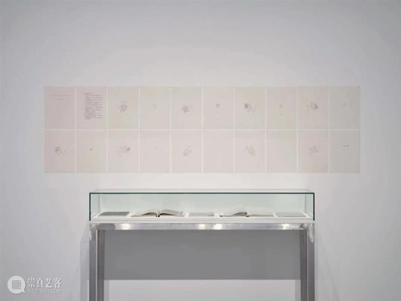 洪浩、隋建国、王鲁炎｜卡塞尔文献展研究院：《中国时刻》 崇真艺客