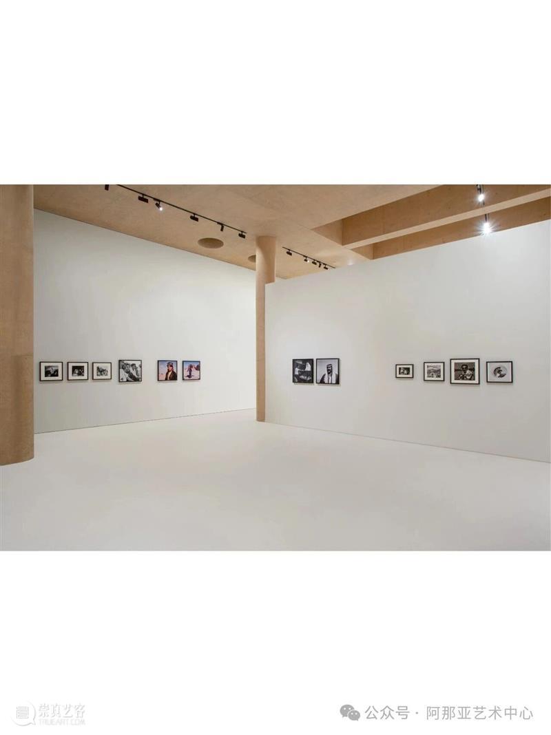 展览｜正式开幕：“缺席与在场：沙迦艺术基金会收藏展” 崇真艺客