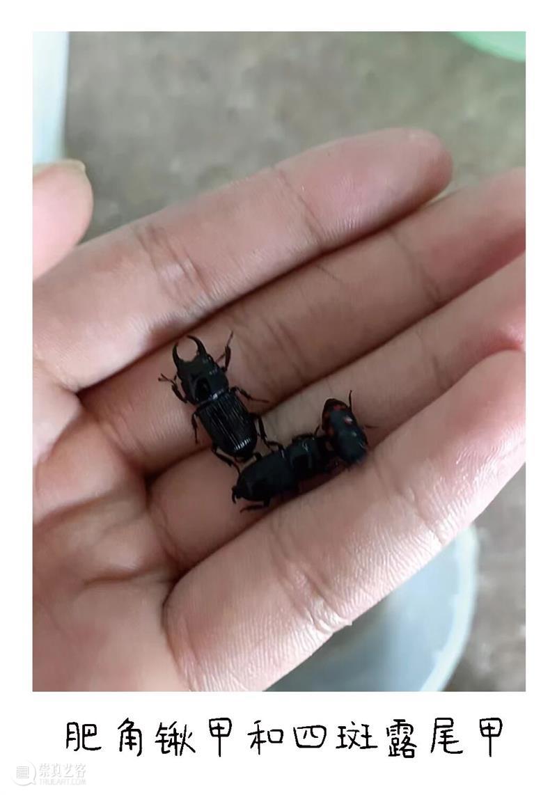 白马滩艺术现场｜少年文俊与他的宝贝 崇真艺客
