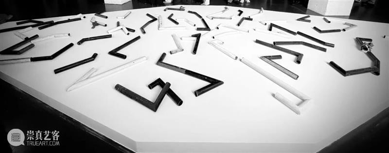 丁设_以观照之心，重识世界与自我｜国家美术·关注 崇真艺客