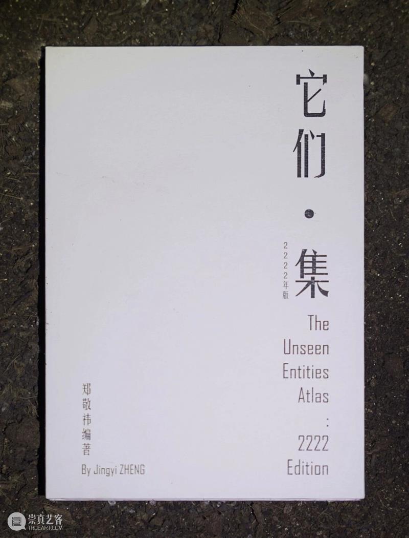 展览预告 | 我们的肉身:书写与视觉 崇真艺客