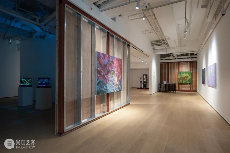 户尔艺术家 | 香港 Knotting Space「Soft Reality, Hard Dreams」| 正在展出 崇真艺客