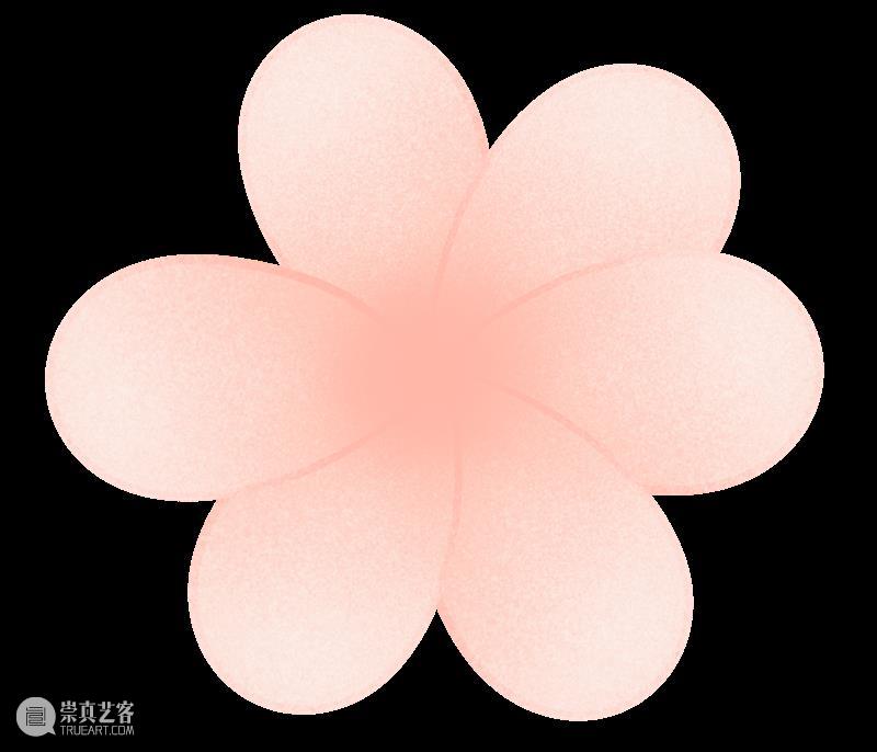 来盐美开启一场colorwalk！寻美盐城“好春色”～ 崇真艺客