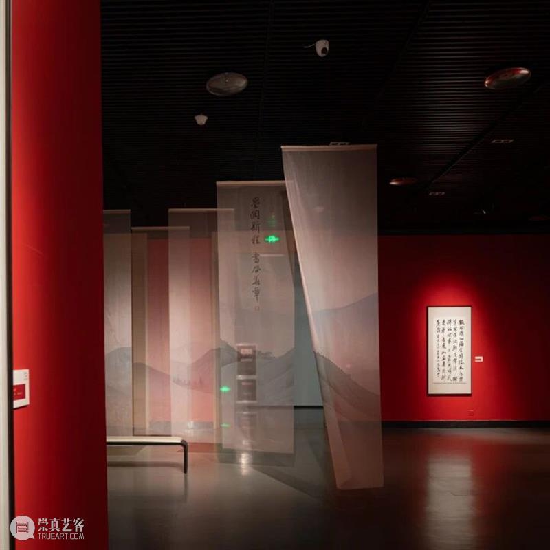 来盐美开启一场colorwalk！寻美盐城“好春色”～ 崇真艺客