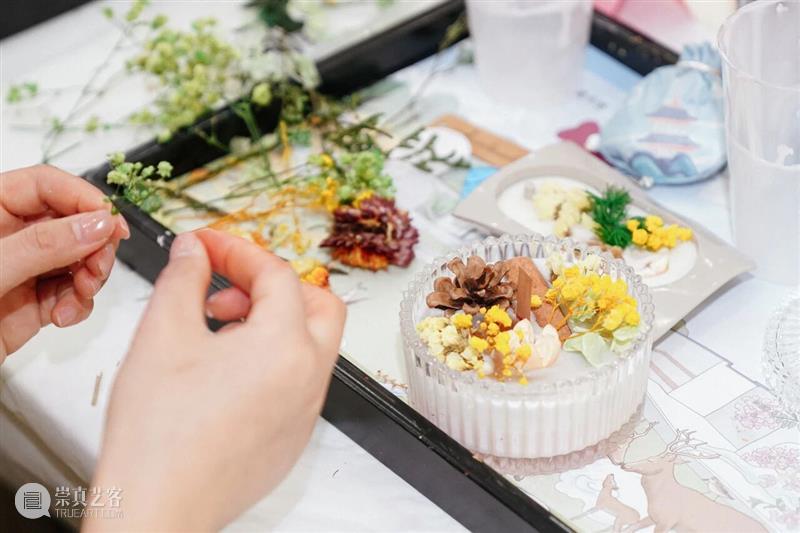 来盐美开启一场colorwalk！寻美盐城“好春色”～ 崇真艺客