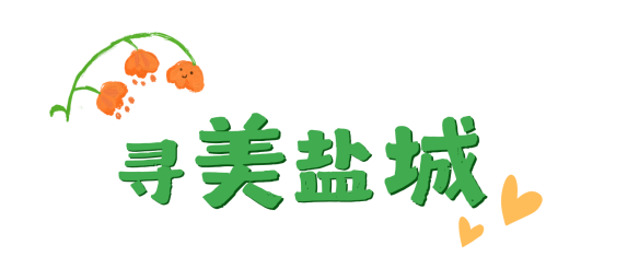 来盐美开启一场colorwalk！寻美盐城“好春色”～ 崇真艺客