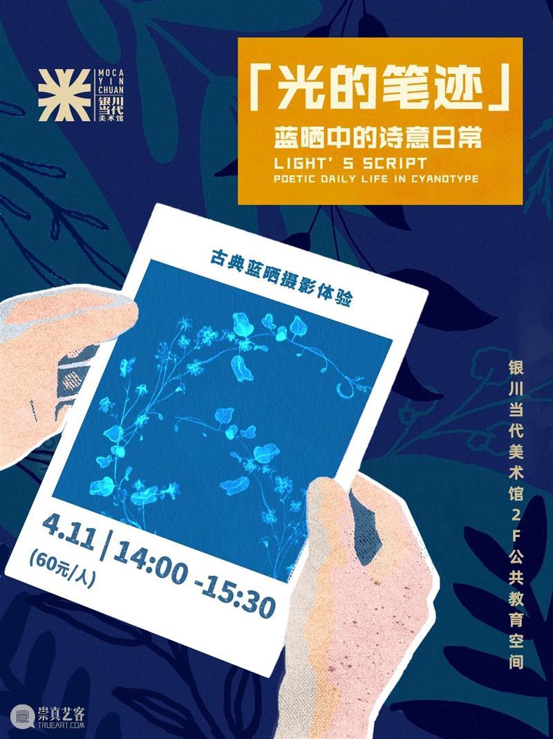 MOCA 活动月历|用画笔、光影与毛线,定格独属于你的美好日常! 崇真艺客