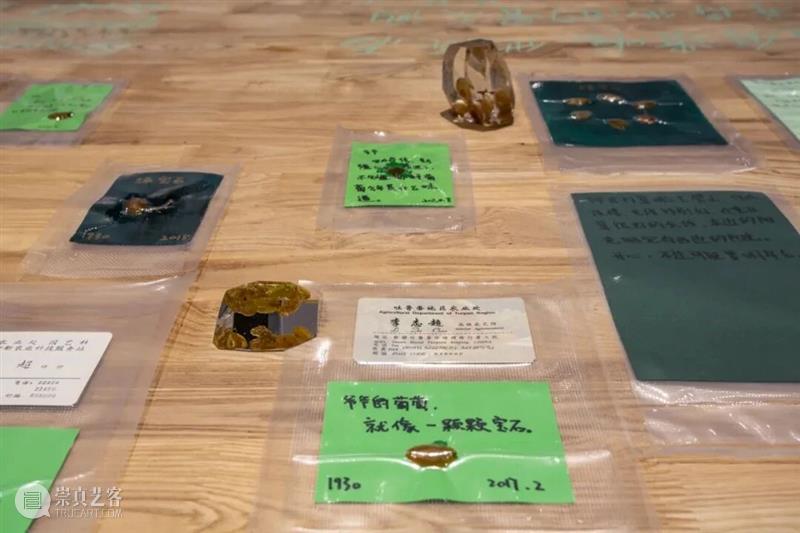 MOCA十年·10人｜胡佳艺×银川当代美术馆：一场从“小我”走向“大我”的艺术实践！ 崇真艺客