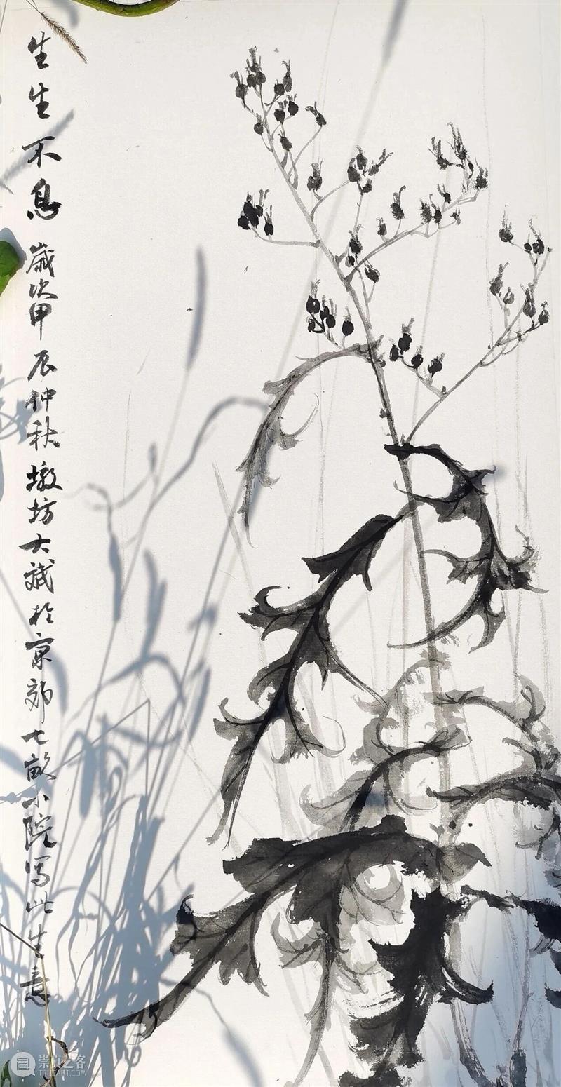 研学招生 | 丹青入皖南——北京画院写意花鸟写生研学班（皖南站）招生啦！ 崇真艺客
