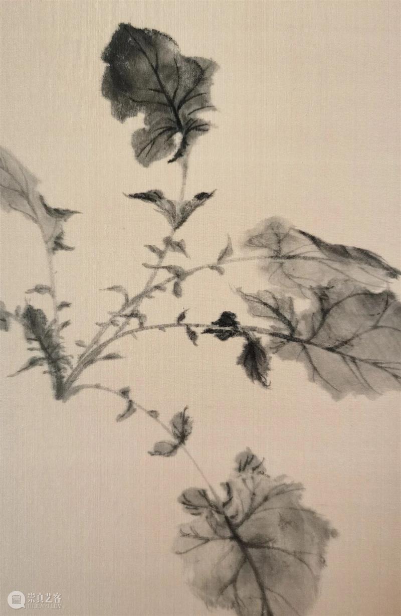 研学招生 | 丹青入皖南——北京画院写意花鸟写生研学班（皖南站）招生啦！ 崇真艺客