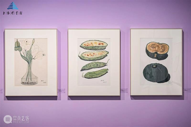 艺术家阿籽奶奶展览：让诗风穿透一切——《诗经》草木意象展，上海图书馆 崇真艺客