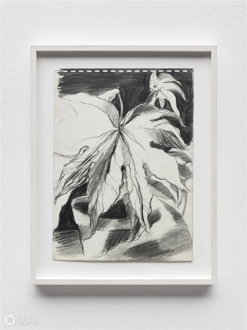 正在展出 | 里森街计划 (II) | 肖恩·斯库利、池村玲子 崇真艺客