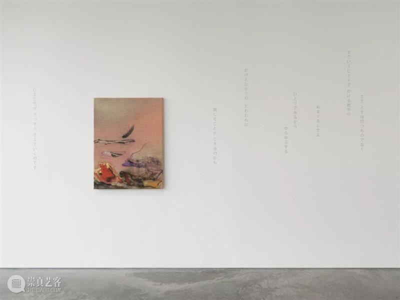 正在展出 | 里森街计划 (II) | 肖恩·斯库利、池村玲子 崇真艺客
