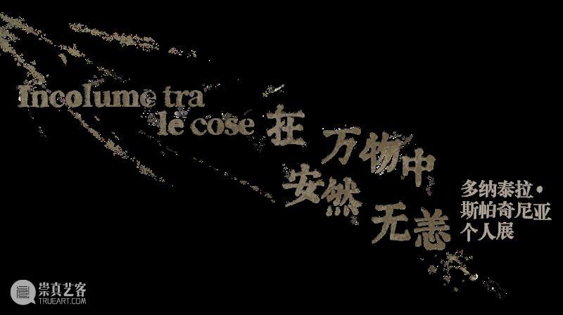专题丨在万物中安然无恙——多纳泰拉·斯帕齐亚尼个人展 视频资讯 四川美院美术馆 崇真艺客