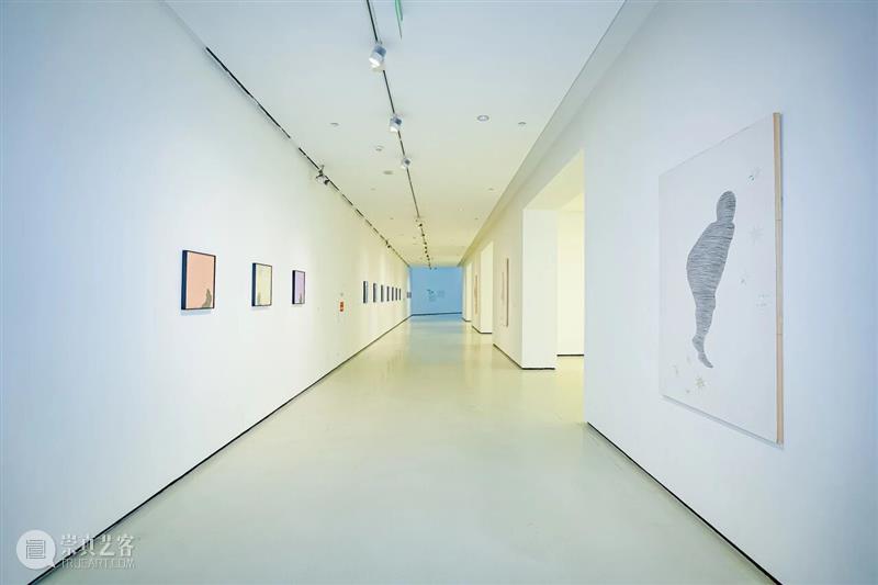专题丨在万物中安然无恙——多纳泰拉·斯帕齐亚尼个人展 视频资讯 四川美院美术馆 崇真艺客