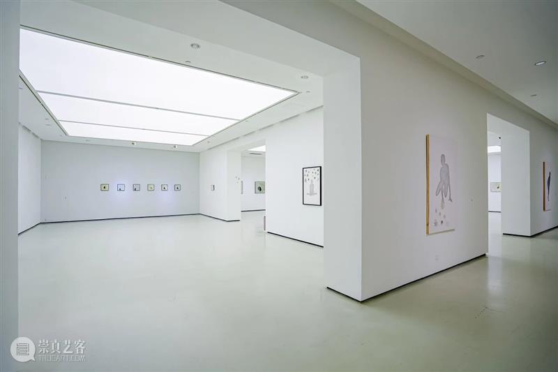 专题丨在万物中安然无恙——多纳泰拉·斯帕齐亚尼个人展 视频资讯 四川美院美术馆 崇真艺客