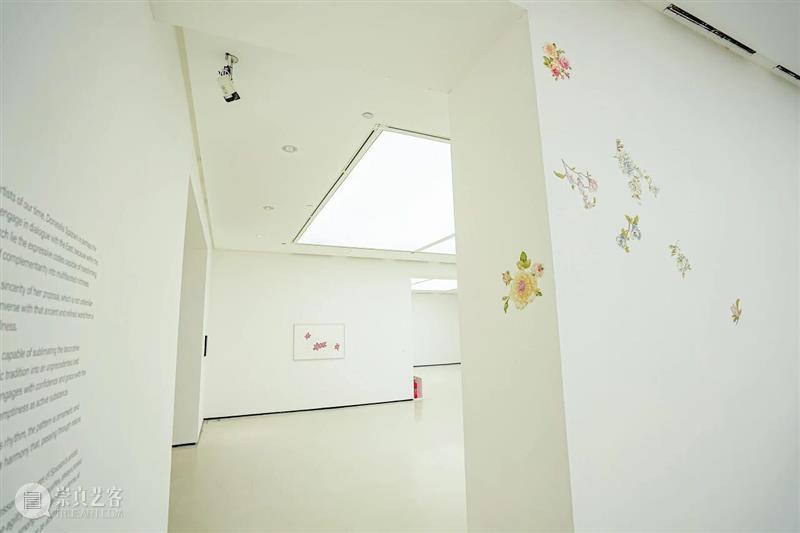专题丨在万物中安然无恙——多纳泰拉·斯帕齐亚尼个人展 视频资讯 四川美院美术馆 崇真艺客