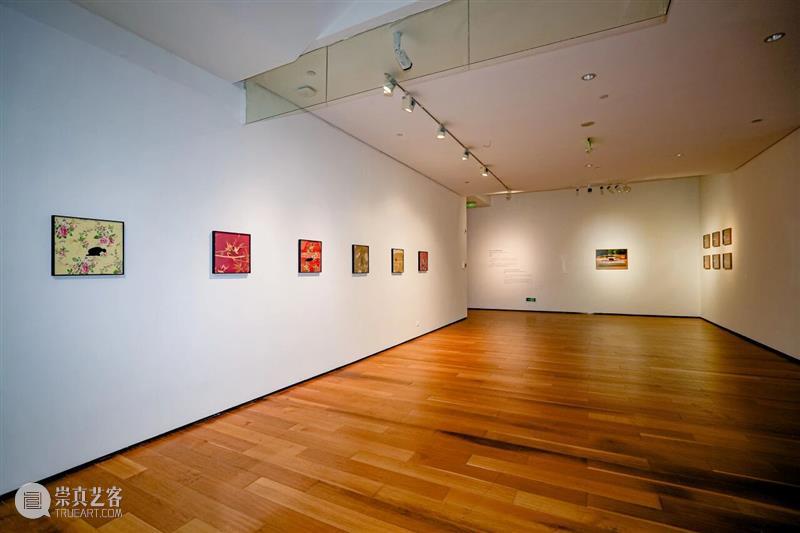 专题丨在万物中安然无恙——多纳泰拉·斯帕齐亚尼个人展 视频资讯 四川美院美术馆 崇真艺客