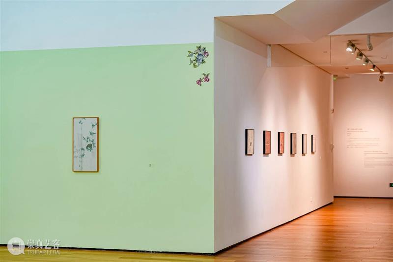 专题丨在万物中安然无恙——多纳泰拉·斯帕齐亚尼个人展 视频资讯 四川美院美术馆 崇真艺客