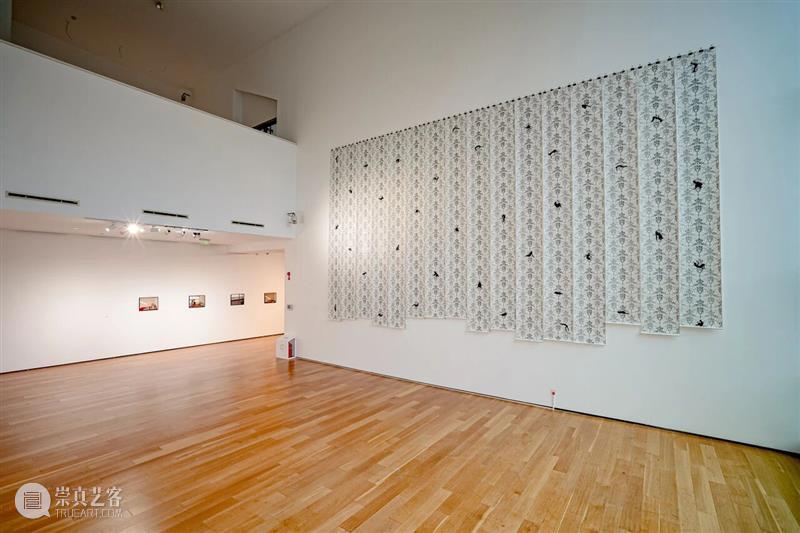 专题丨在万物中安然无恙——多纳泰拉·斯帕齐亚尼个人展 视频资讯 四川美院美术馆 崇真艺客