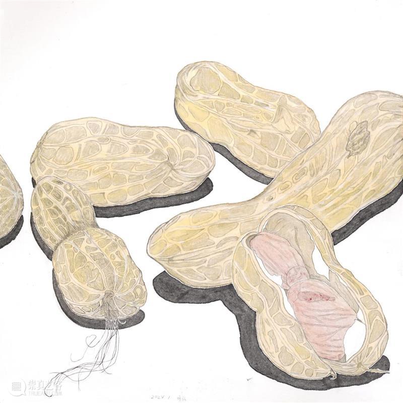 新展预告 | 艺术家 咏弘、王惠璞、阿籽奶奶:破?——?业与艺之间的观看与创造|美博美术馆 崇真艺客