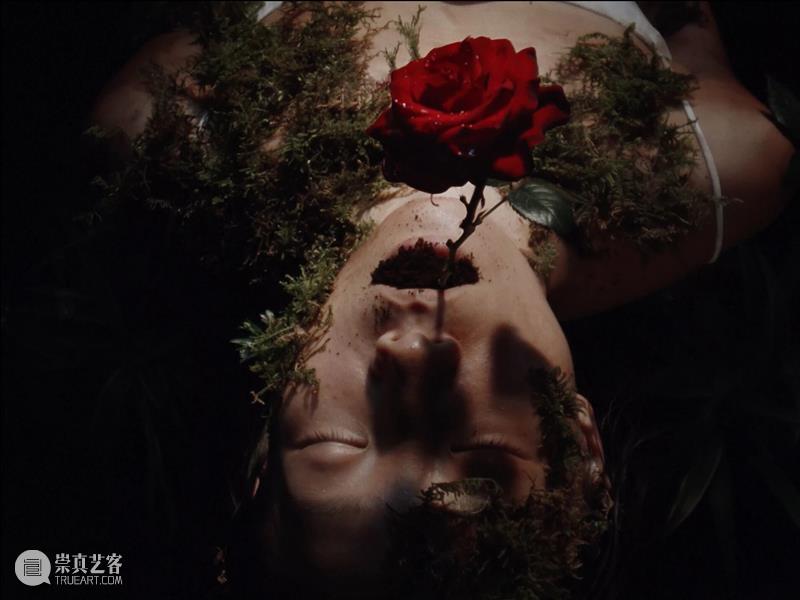 免费活动 | 诗人王小邪影像艺术作品分享会招募观众 崇真艺客