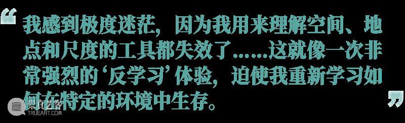 在极地焚冰，在深海潜行：朱利安·夏西埃赫的凯洛斯觉醒 崇真艺客
